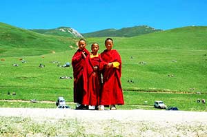 Tibet Permit Without Tour