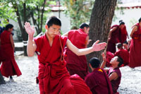 Sera Monastery, Debate session, Lhasa, debate